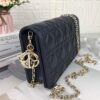 LADY DIOR POUCH