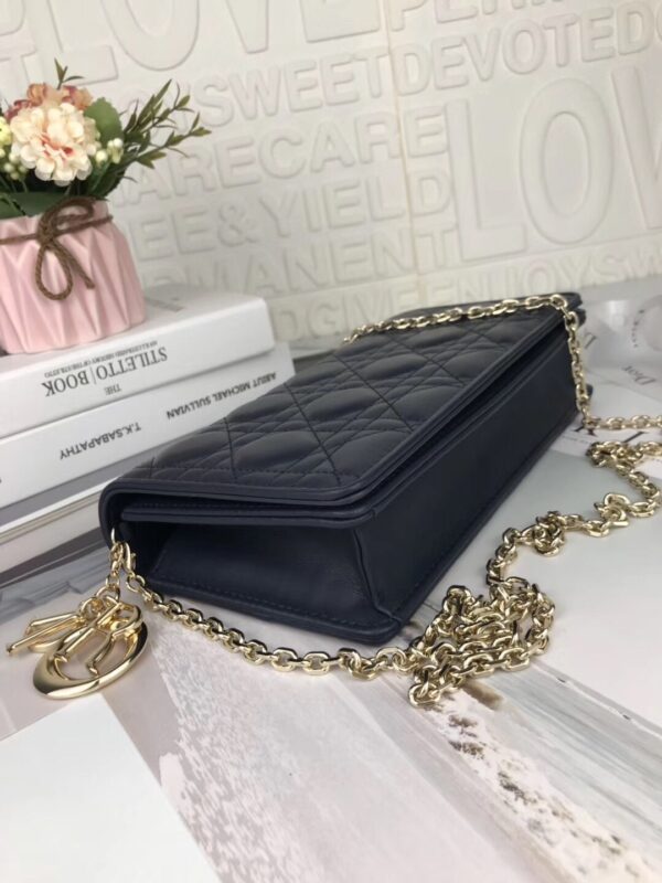 LADY DIOR POUCH