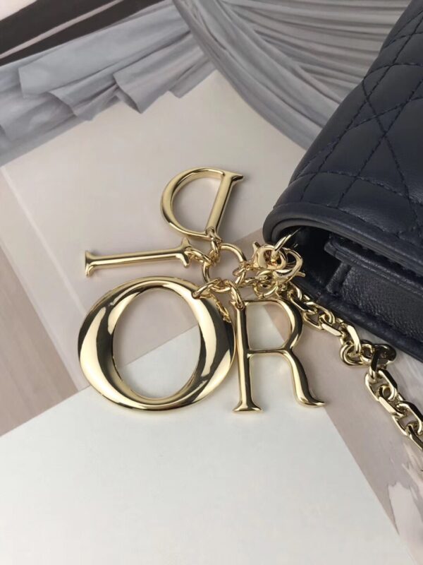 LADY DIOR POUCH