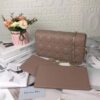 LADY DIOR POUCH