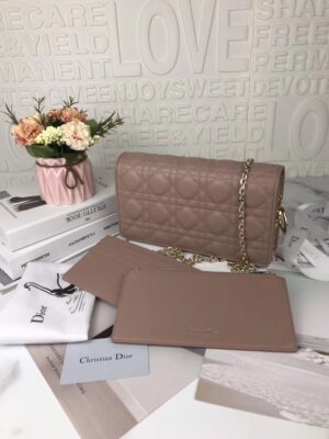 LADY DIOR POUCH