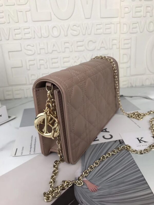 LADY DIOR POUCH