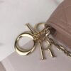 LADY DIOR POUCH