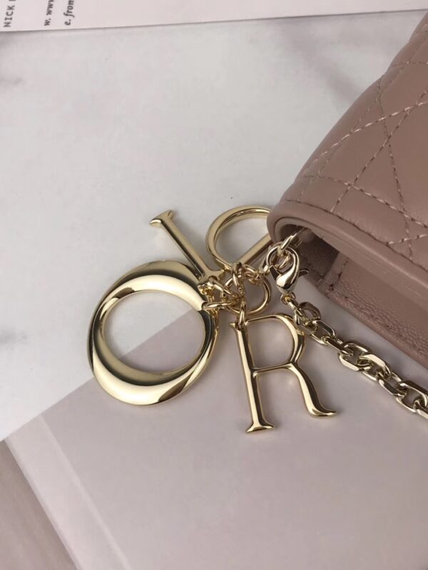 LADY DIOR POUCH