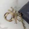 LADY DIOR POUCH
