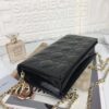 LADY DIOR POUCH