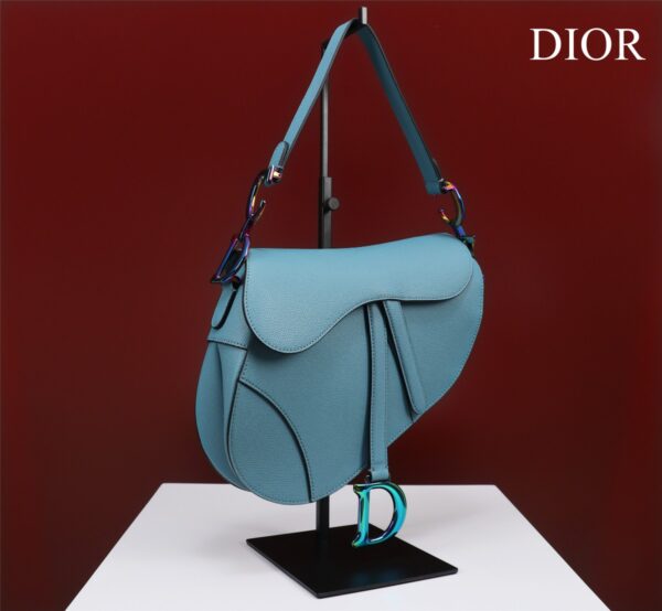 DIOR SADDLE BAG