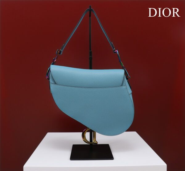 DIOR SADDLE BAG