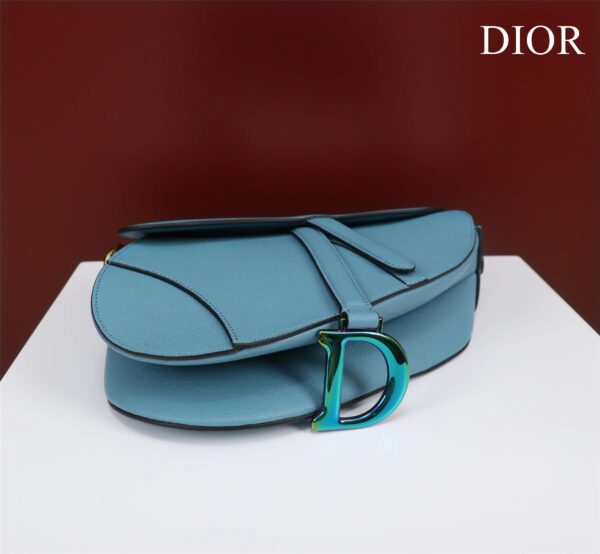 DIOR SADDLE BAG