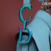 DIOR SADDLE BAG