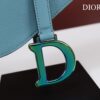 DIOR SADDLE BAG