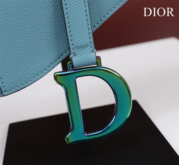 DIOR SADDLE BAG