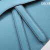 DIOR SADDLE BAG