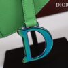 DIOR SADDLE BAG