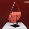 DIOR SADDLE BAG