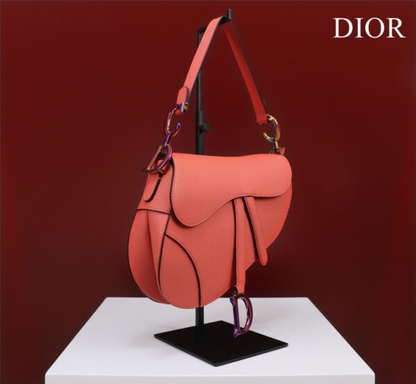 DIOR SADDLE BAG