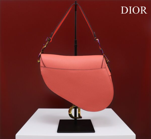 DIOR SADDLE BAG