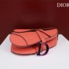DIOR SADDLE BAG
