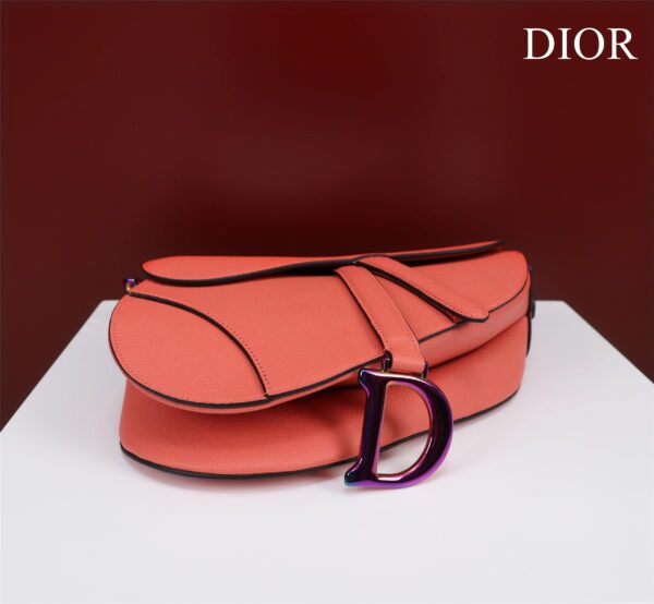 DIOR SADDLE BAG