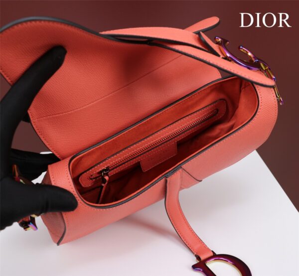 DIOR SADDLE BAG