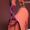 DIOR SADDLE BAG