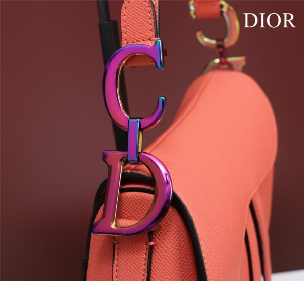 DIOR SADDLE BAG
