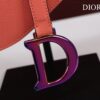 DIOR SADDLE BAG
