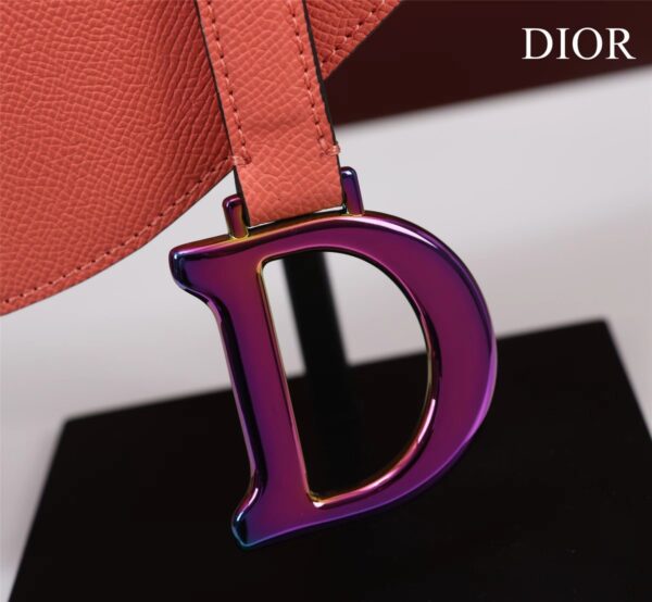 DIOR SADDLE BAG