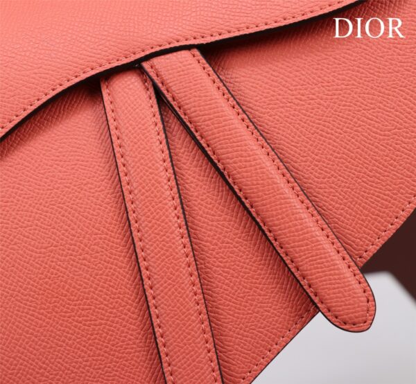 DIOR SADDLE BAG
