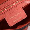 DIOR SADDLE BAG