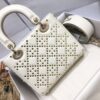 SMALL LADY DIOR