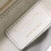 SMALL LADY DIOR