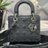 SMALL LADY DIOR