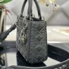 SMALL LADY DIOR