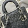 SMALL LADY DIOR