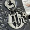 SMALL LADY DIOR