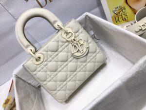 SMALL LADY DIOR