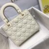 SMALL LADY DIOR