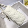 SMALL LADY DIOR