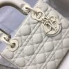 SMALL LADY DIOR