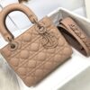 SMALL LADY DIOR