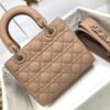 SMALL LADY DIOR