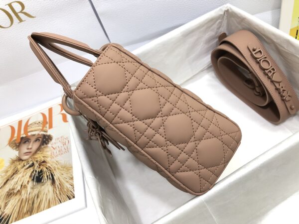 SMALL LADY DIOR