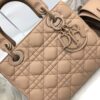 SMALL LADY DIOR