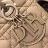 SMALL LADY DIOR