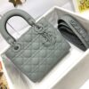 SMALL LADY DIOR