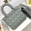 SMALL LADY DIOR