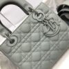 SMALL LADY DIOR