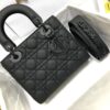 SMALL LADY DIOR