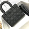SMALL LADY DIOR